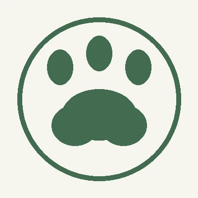 AION 2 Pets